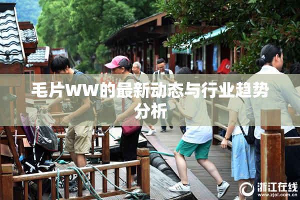 毛片WW的最新动态与行业趋势分析