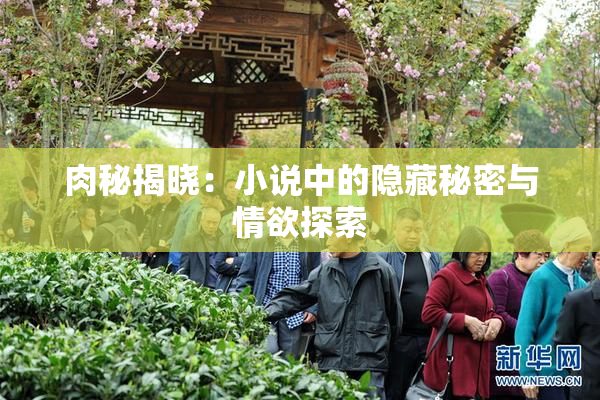 肉秘揭晓：小说中的隐藏秘密与情欲探索