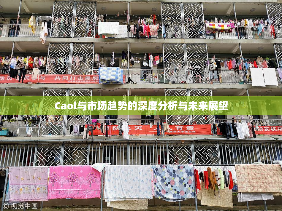 Caol与市场趋势的深度分析与未来展望