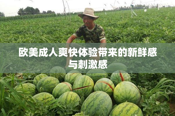 欧美成人爽快体验带来的新鲜感与刺激感
