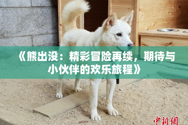 《熊出没：精彩冒险再续，期待与小伙伴的欢乐旅程》