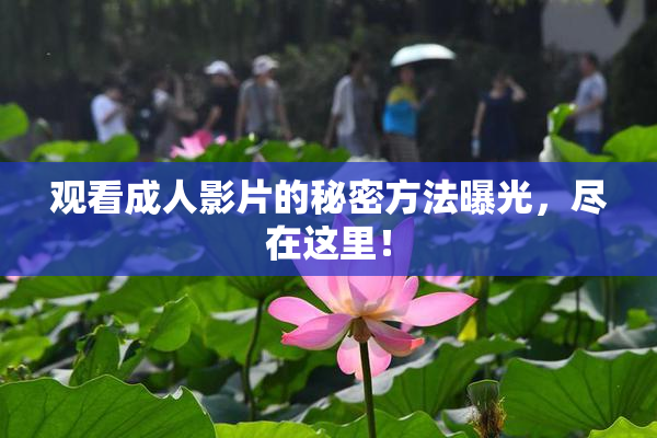 观看成人影片的秘密方法曝光，尽在这里！
