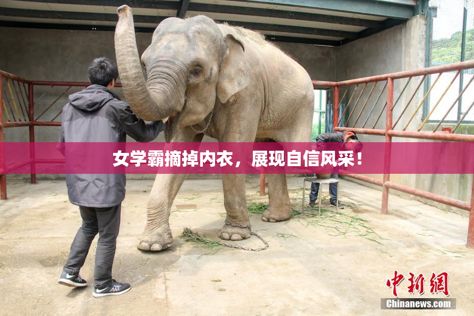 女学霸摘掉内衣，展现自信风采！