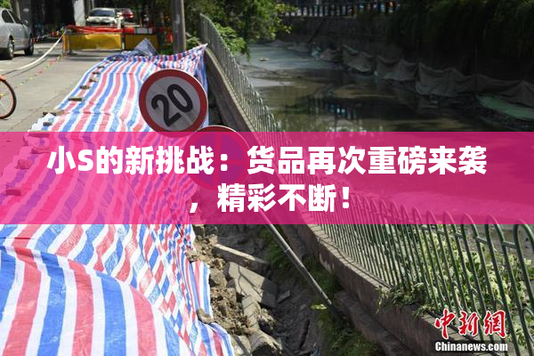 小S的新挑战：货品再次重磅来袭，精彩不断！