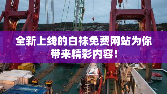 全新上线的白袜免费网站为你带来精彩内容！