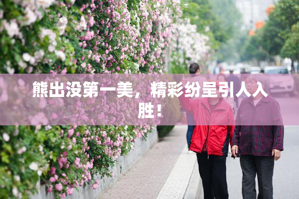 熊出没第一美，精彩纷呈引人入胜！