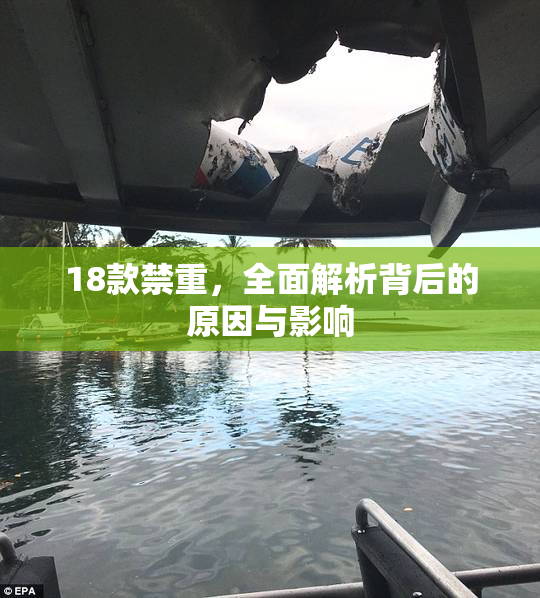 18款禁重，全面解析背后的原因与影响