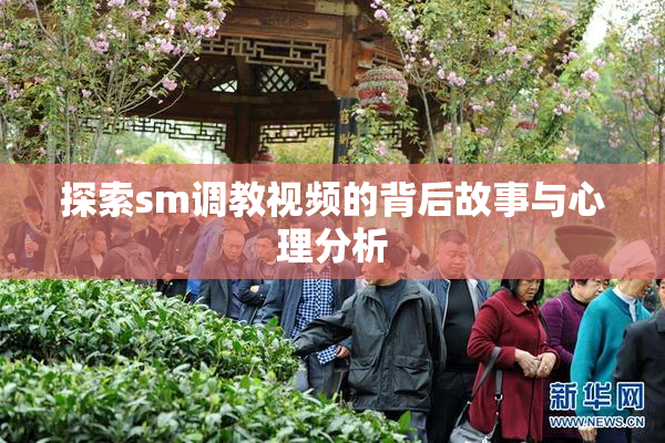 探索sm调教视频的背后故事与心理分析