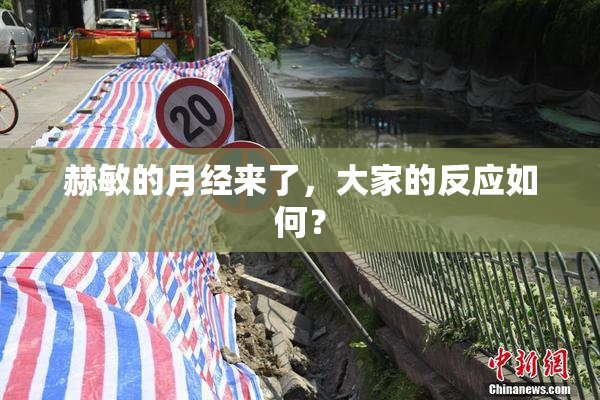 赫敏的月经来了，大家的反应如何？