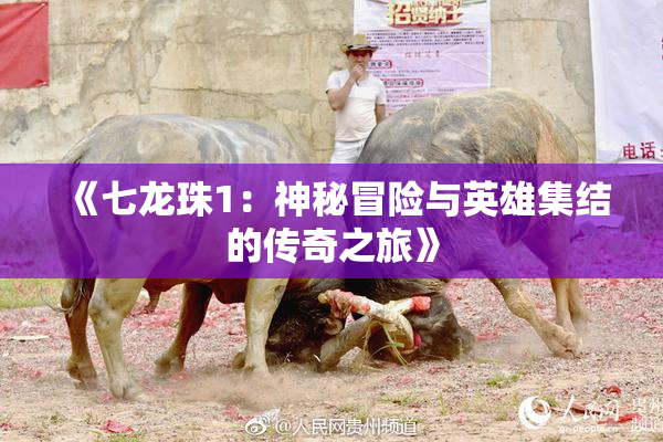 《七龙珠1：神秘冒险与英雄集结的传奇之旅》