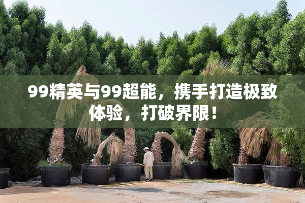 99精英与99超能，携手打造极致体验，打破界限！