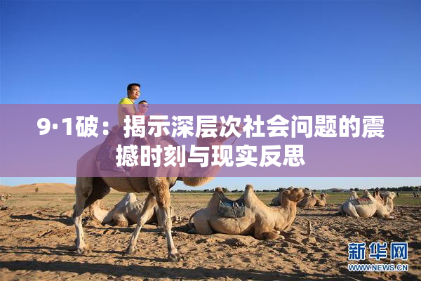 9·1破：揭示深层次社会问题的震撼时刻与现实反思