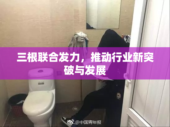 三根联合发力，推动行业新突破与发展