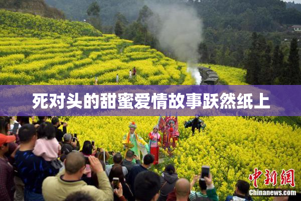 死对头的甜蜜爱情故事跃然纸上