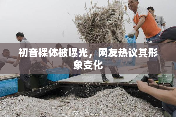 初音裸体被曝光，网友热议其形象变化