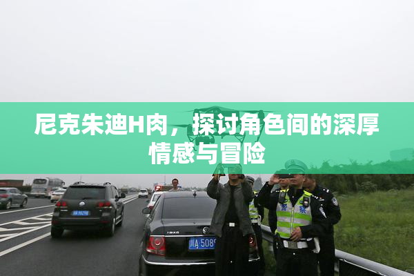 尼克朱迪H肉，探讨角色间的深厚情感与冒险