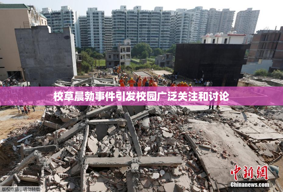 校草晨勃事件引发校园广泛关注和讨论