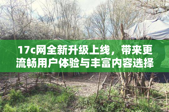 17c网全新升级上线，带来更流畅用户体验与丰富内容选择