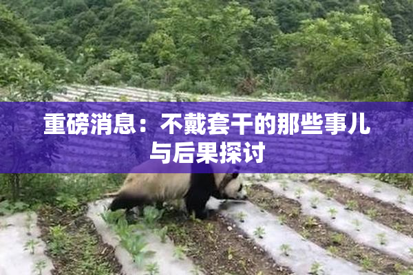 重磅消息：不戴套干的那些事儿与后果探讨