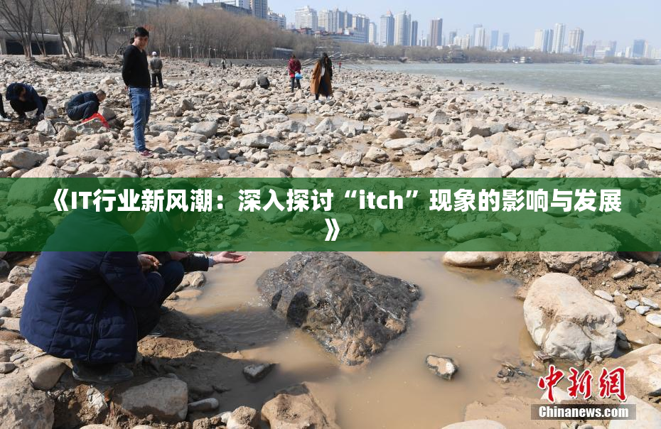 《IT行业新风潮：深入探讨“itch”现象的影响与发展》