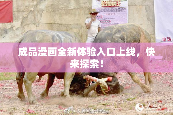 成品漫画全新体验入口上线，快来探索！