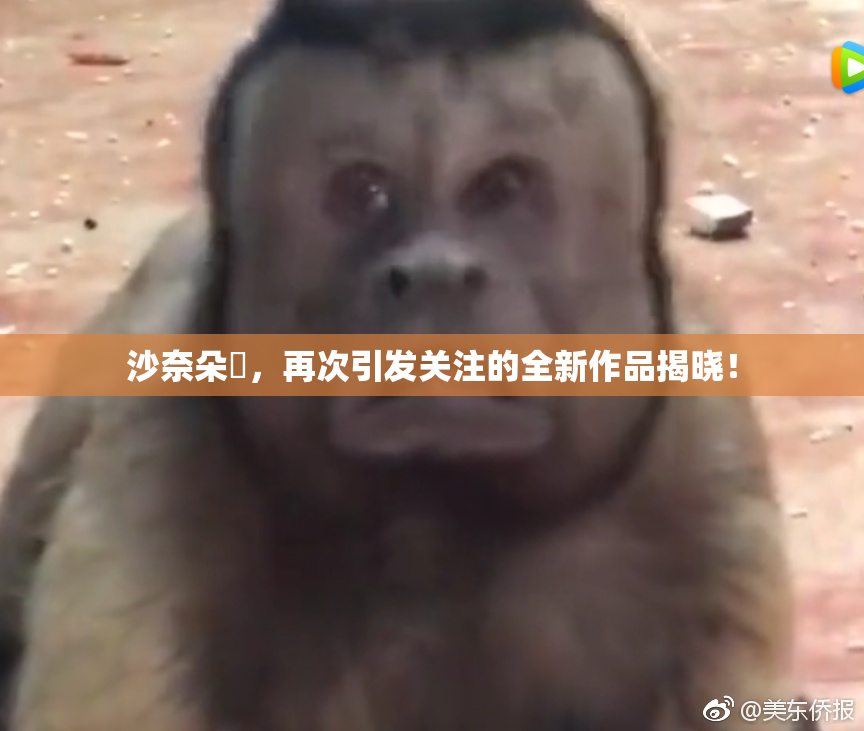 沙奈朵祼，再次引发关注的全新作品揭晓！