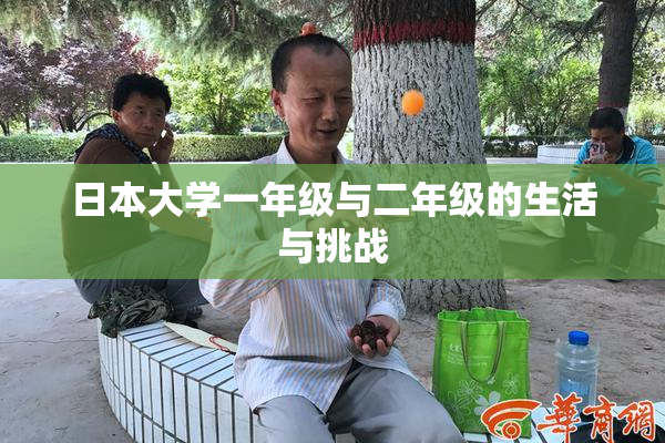 日本大学一年级与二年级的生活与挑战
