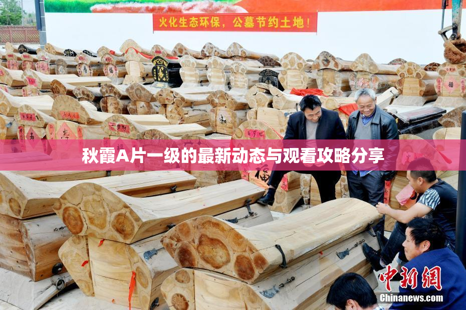 秋霞A片一级的最新动态与观看攻略分享