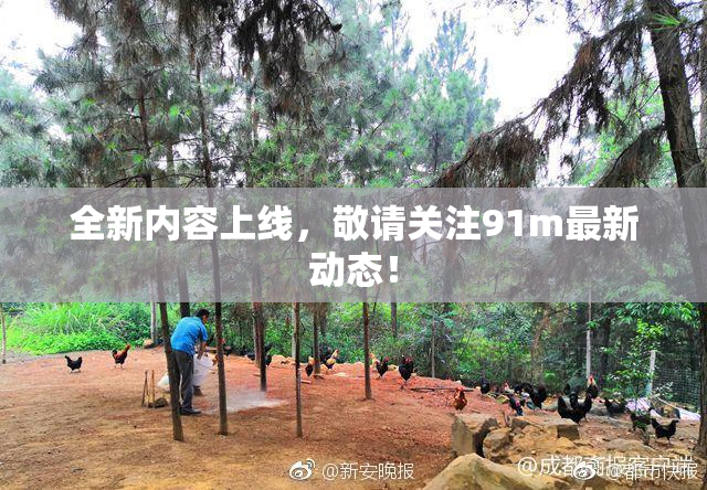 全新内容上线，敬请关注91m最新动态！