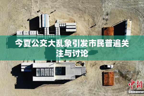 今夏公交大乱象引发市民普遍关注与讨论
