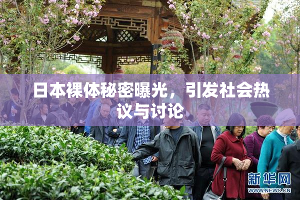 日本裸体秘密曝光，引发社会热议与讨论