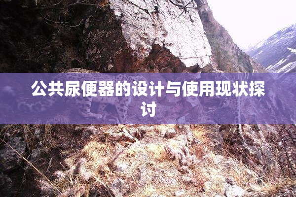 公共尿便器的设计与使用现状探讨