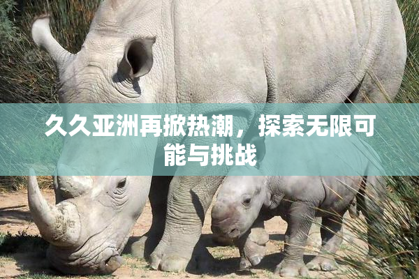 久久亚洲再掀热潮，探索无限可能与挑战