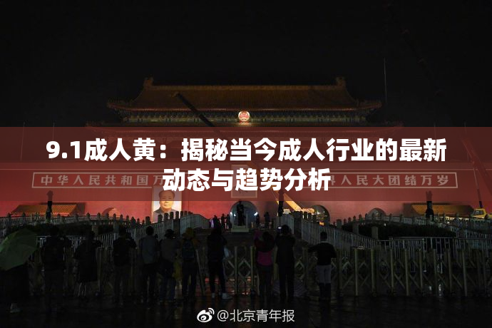 9.1成人黄：揭秘当今成人行业的最新动态与趋势分析