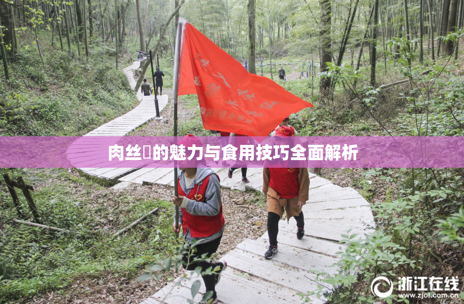 肉丝祙的魅力与食用技巧全面解析