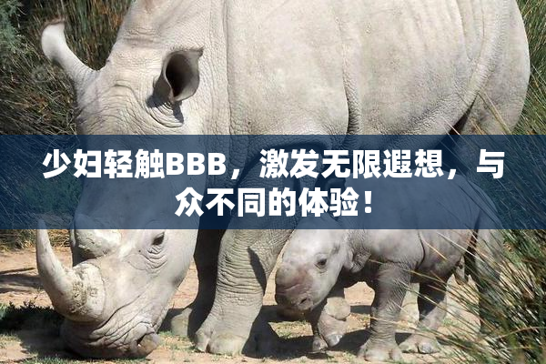 少妇轻触BBB，激发无限遐想，与众不同的体验！