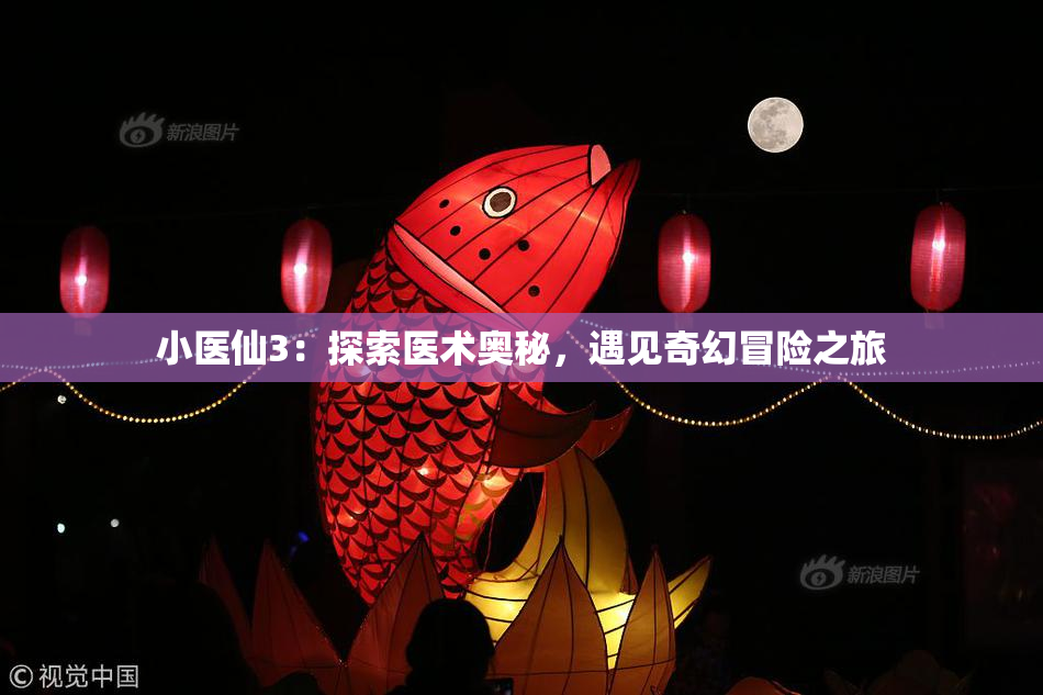 小医仙3：探索医术奥秘，遇见奇幻冒险之旅