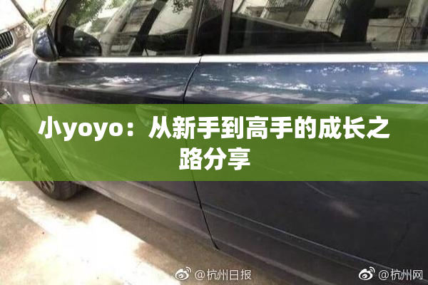 小yoyo：从新手到高手的成长之路分享