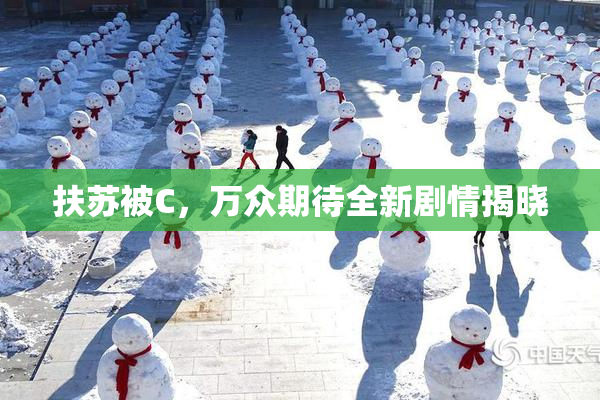 扶苏被C，万众期待全新剧情揭晓