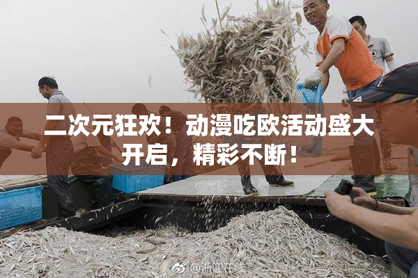 二次元狂欢！动漫吃欧活动盛大开启，精彩不断！