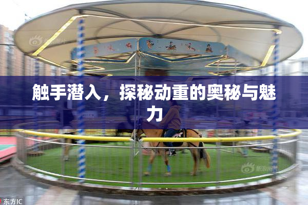 触手潜入，探秘动重的奥秘与魅力