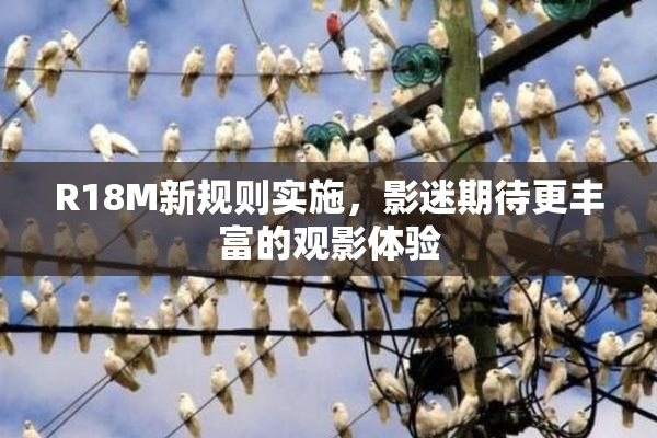 R18M新规则实施，影迷期待更丰富的观影体验
