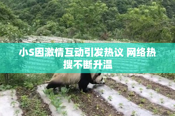小S因激情互动引发热议 网络热搜不断升温