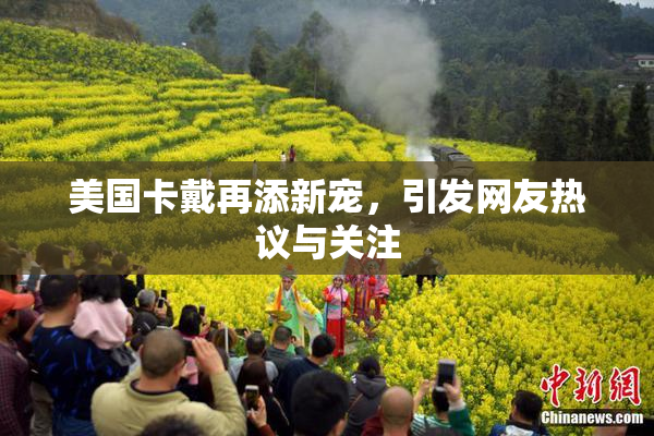 美国卡戴再添新宠，引发网友热议与关注