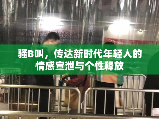 骚B叫，传达新时代年轻人的情感宣泄与个性释放