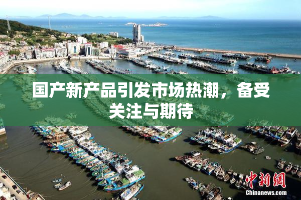 国产新产品引发市场热潮，备受关注与期待