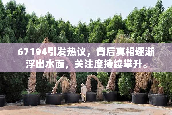 67194引发热议，背后真相逐渐浮出水面，关注度持续攀升。