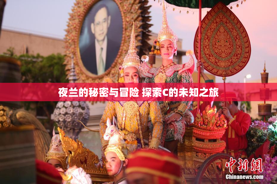 夜兰的秘密与冒险 探索C的未知之旅