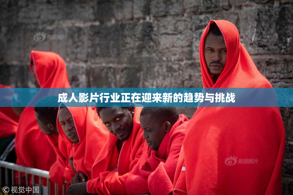 成人影片行业正在迎来新的趋势与挑战