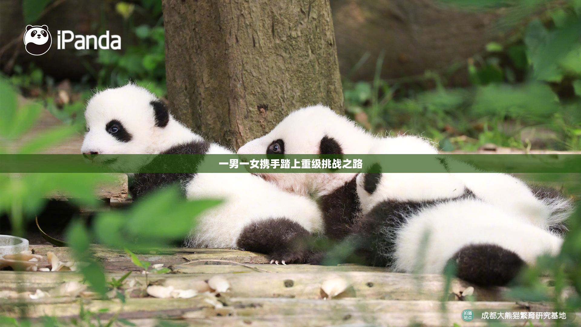 一男一女携手踏上重级挑战之路
